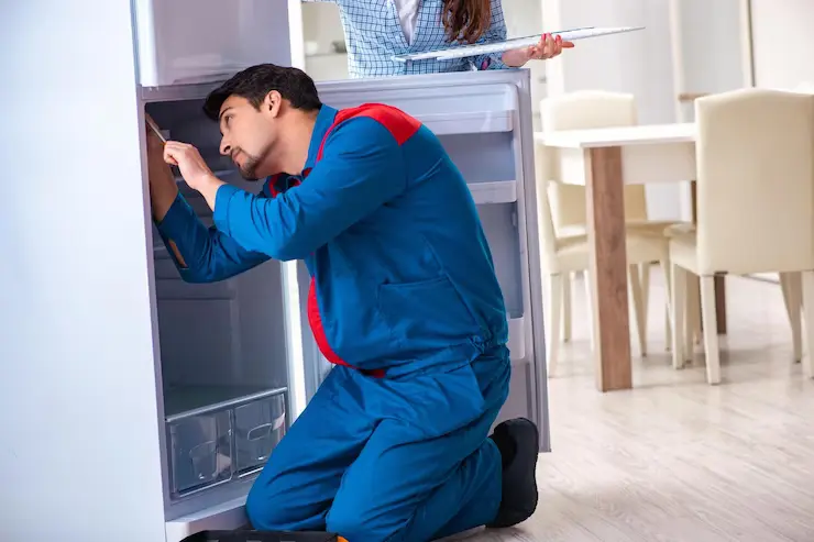 Refrigerator repairing time!